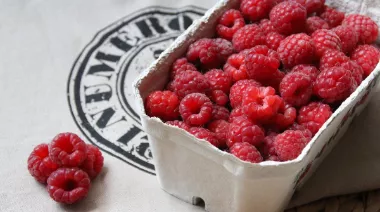 garnishing-instructions-image